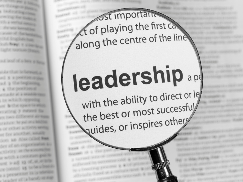 Blog Two: Progressing to a high-performance leader…